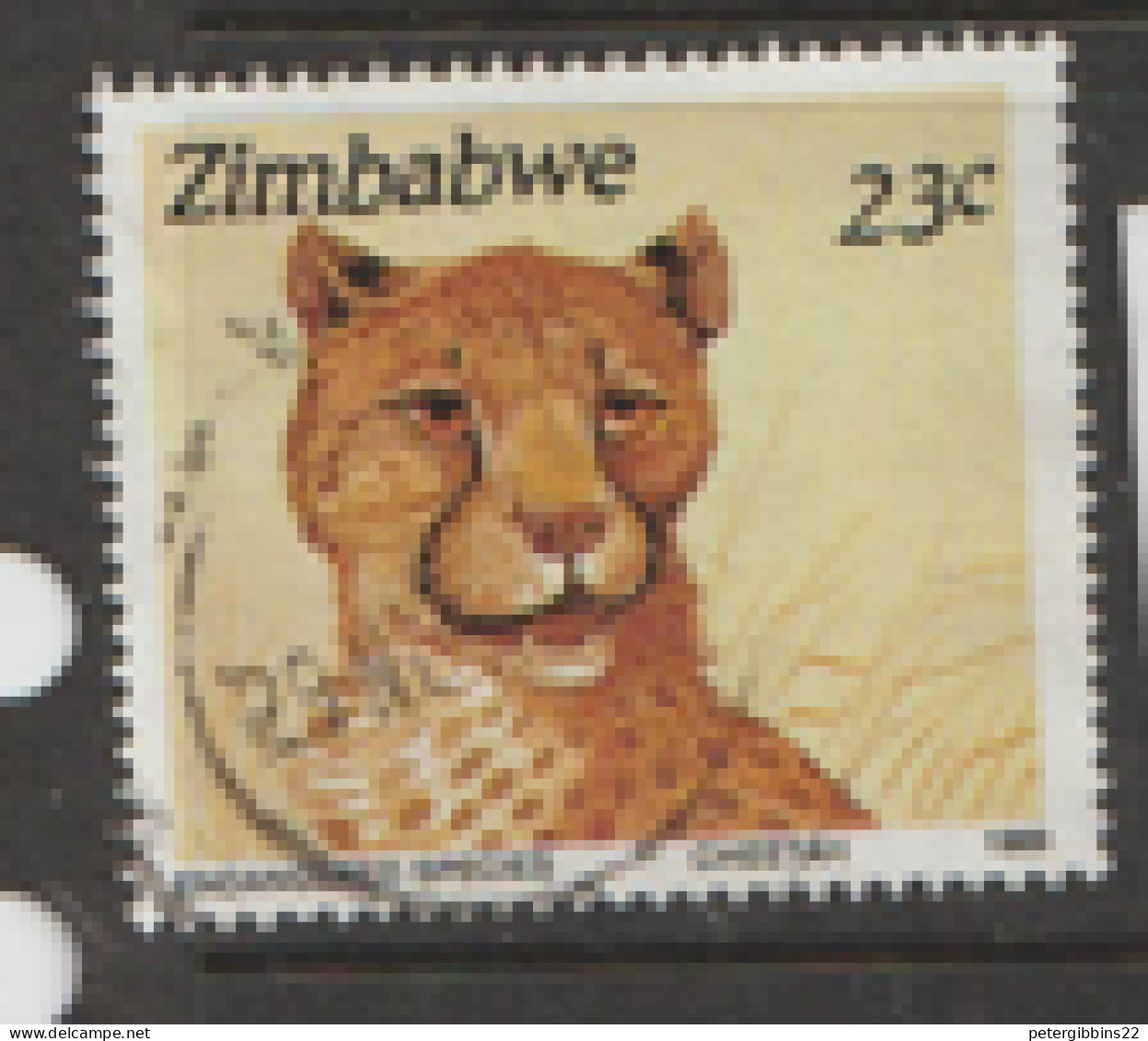 Zimbabwe  1989  SG  763  Cheetah   Fine Used - Zimbabwe (1980-...)