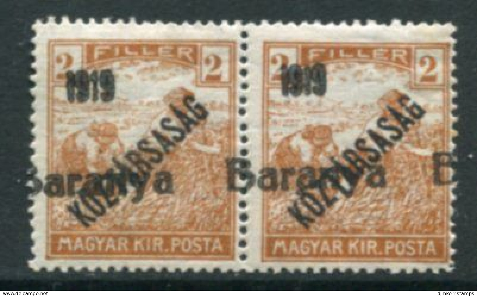 BARANYA Serb Occ. 1919 Harvesters 2f KÖZTARSASAG Pair With  Misplaced Overprint LHM / *.  Michel 43 - Baranya