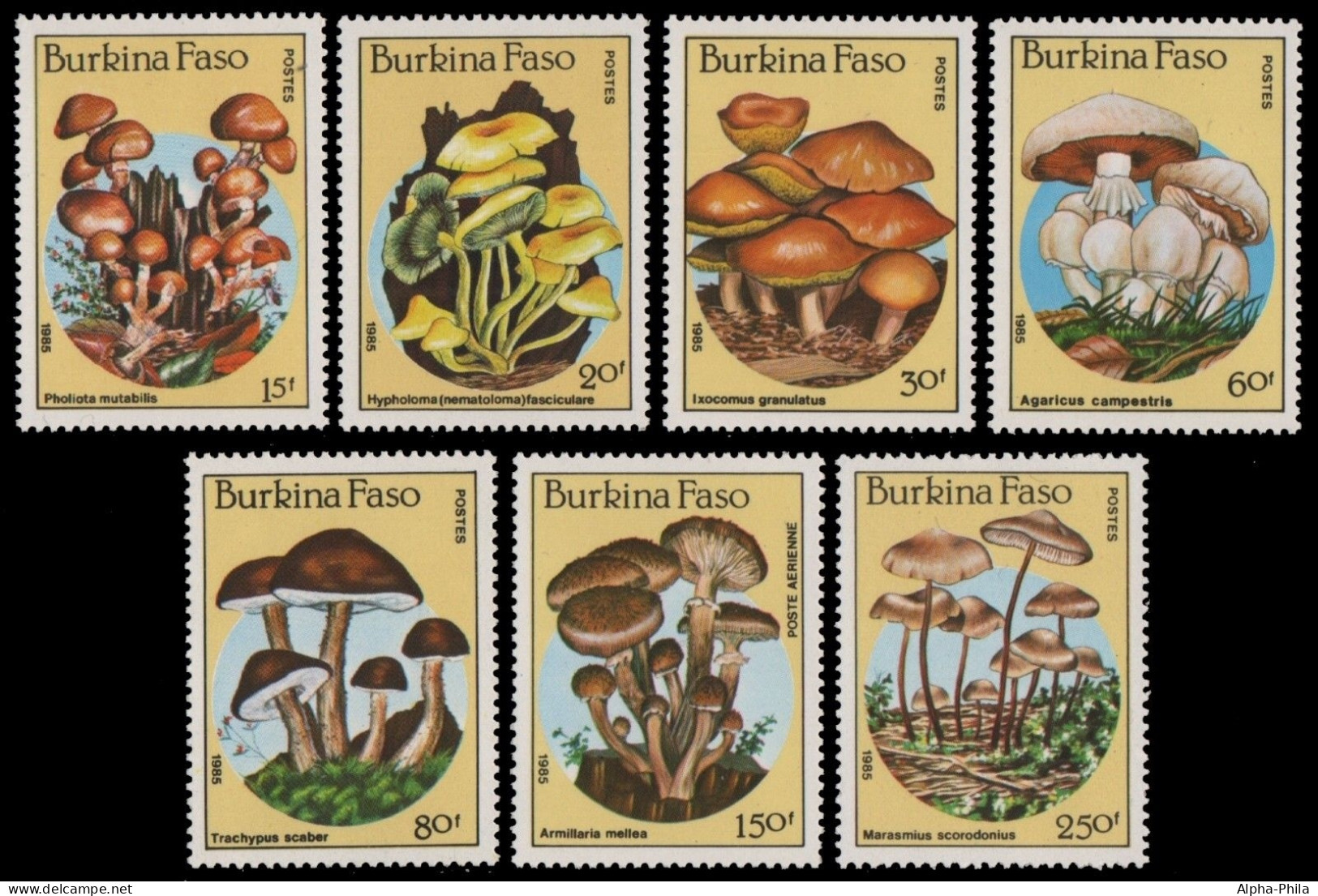 Burkina Faso 1985 - Mi-Nr. 1054-1060 ** - MNH - Pilze / Mushrooms - Burkina Faso (1984-...)