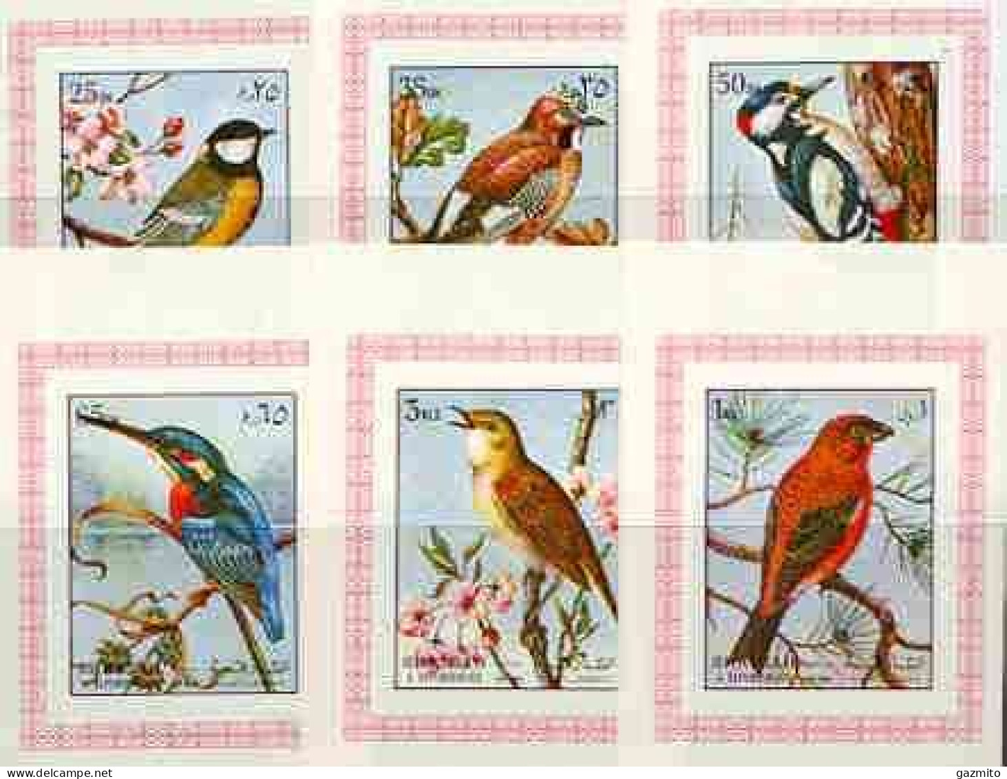 Sharjah 1972, Birds II, Kingfisher, 6val IMPERFORATED - Marine Web-footed Birds