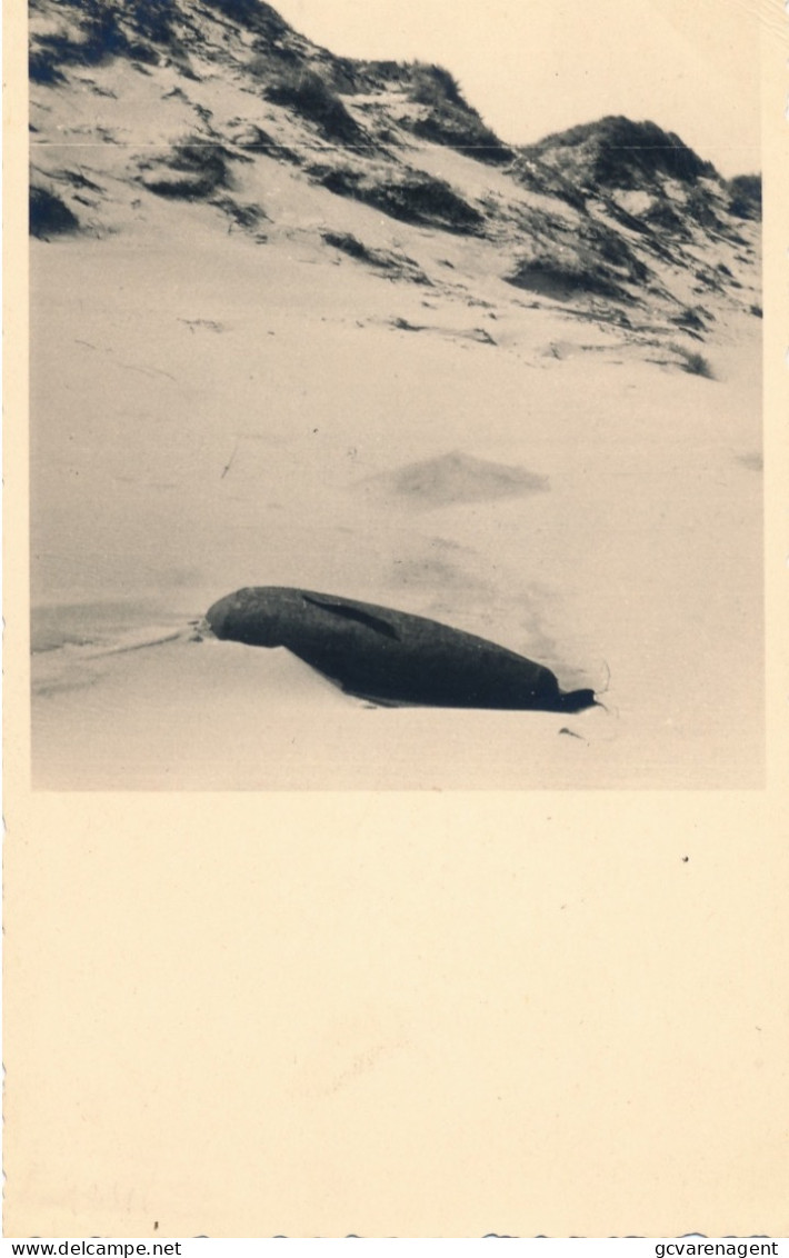 AAN ONZE KUST  MIJNEN IN DE DUINEN   FOTOKAART            LOOK SCANS - Oostduinkerke