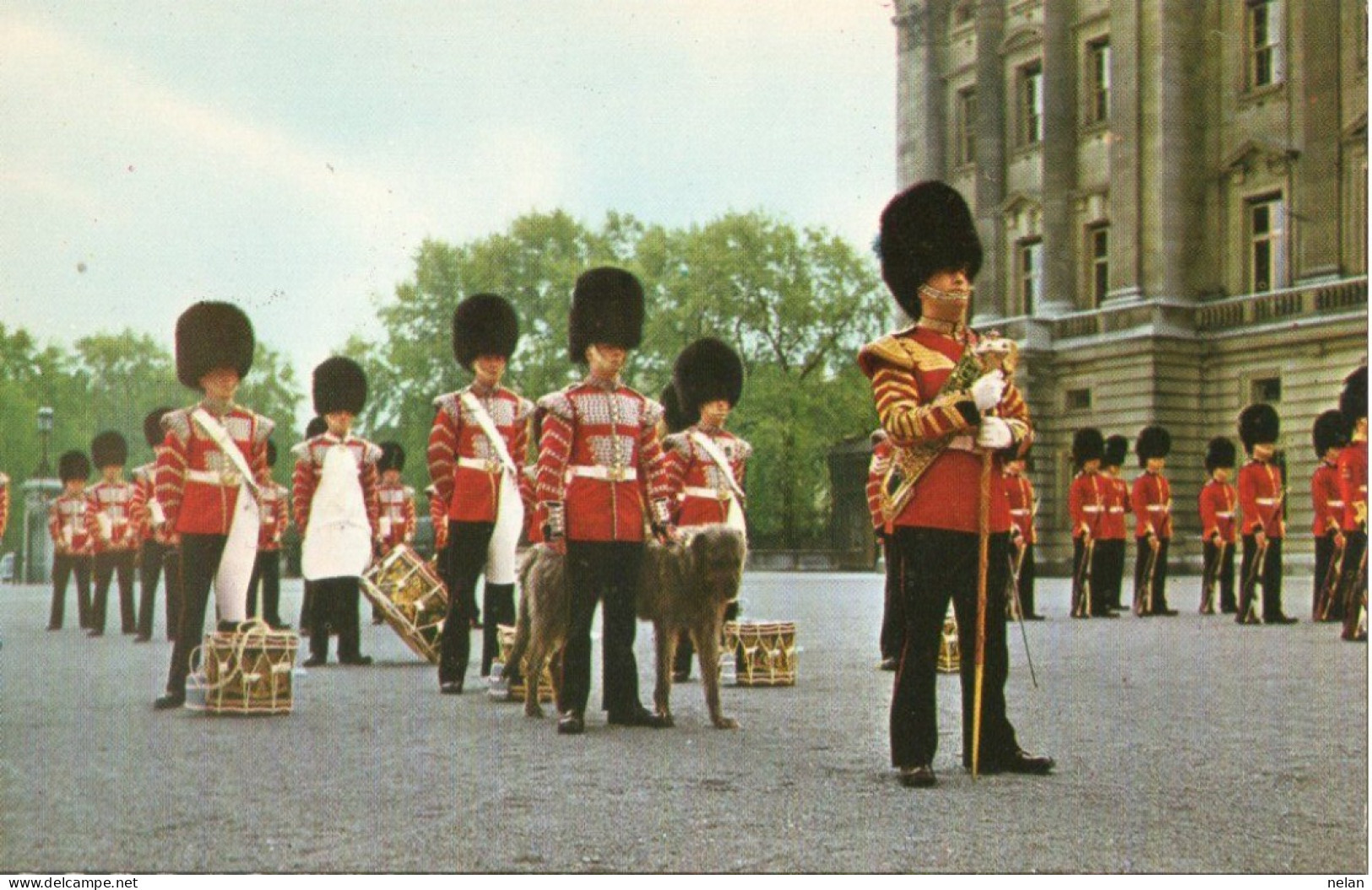 THE CORPS OF DRUMS - Buckingham Palace