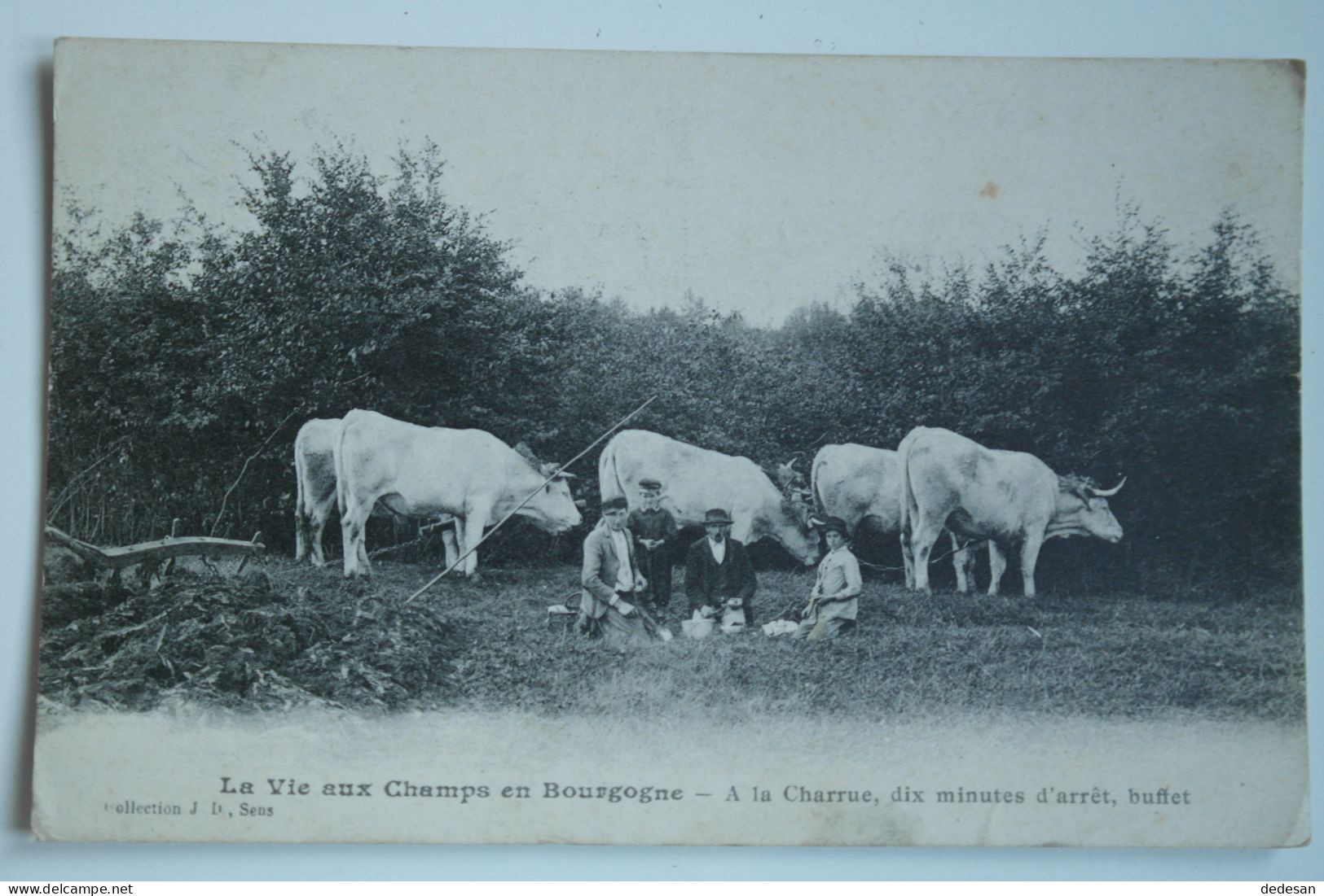 Cpa La Vie Aux Champs En Bourgogne A La Charrue Dix Minutes D'arrêt Buffet 1914 - NOV20 - Bourgogne