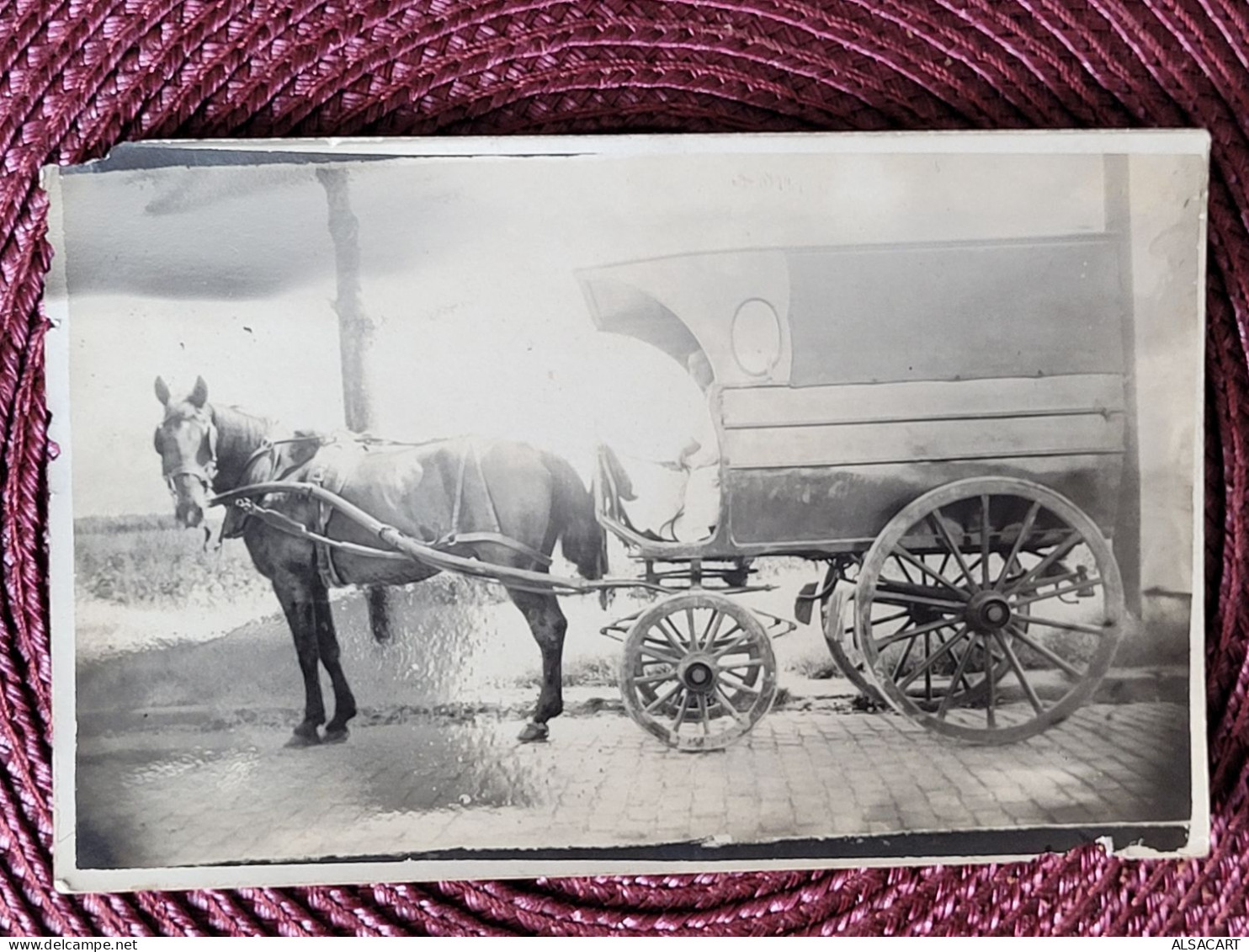 Carte Photo Attelage De Cheval - Shopkeepers