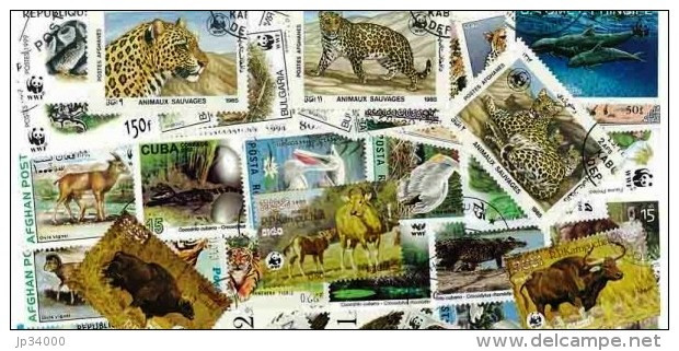 WWF (animaux) Lot De 100 Timbres Poste Tous Différents. Satisfaction Assurée - Otros & Sin Clasificación