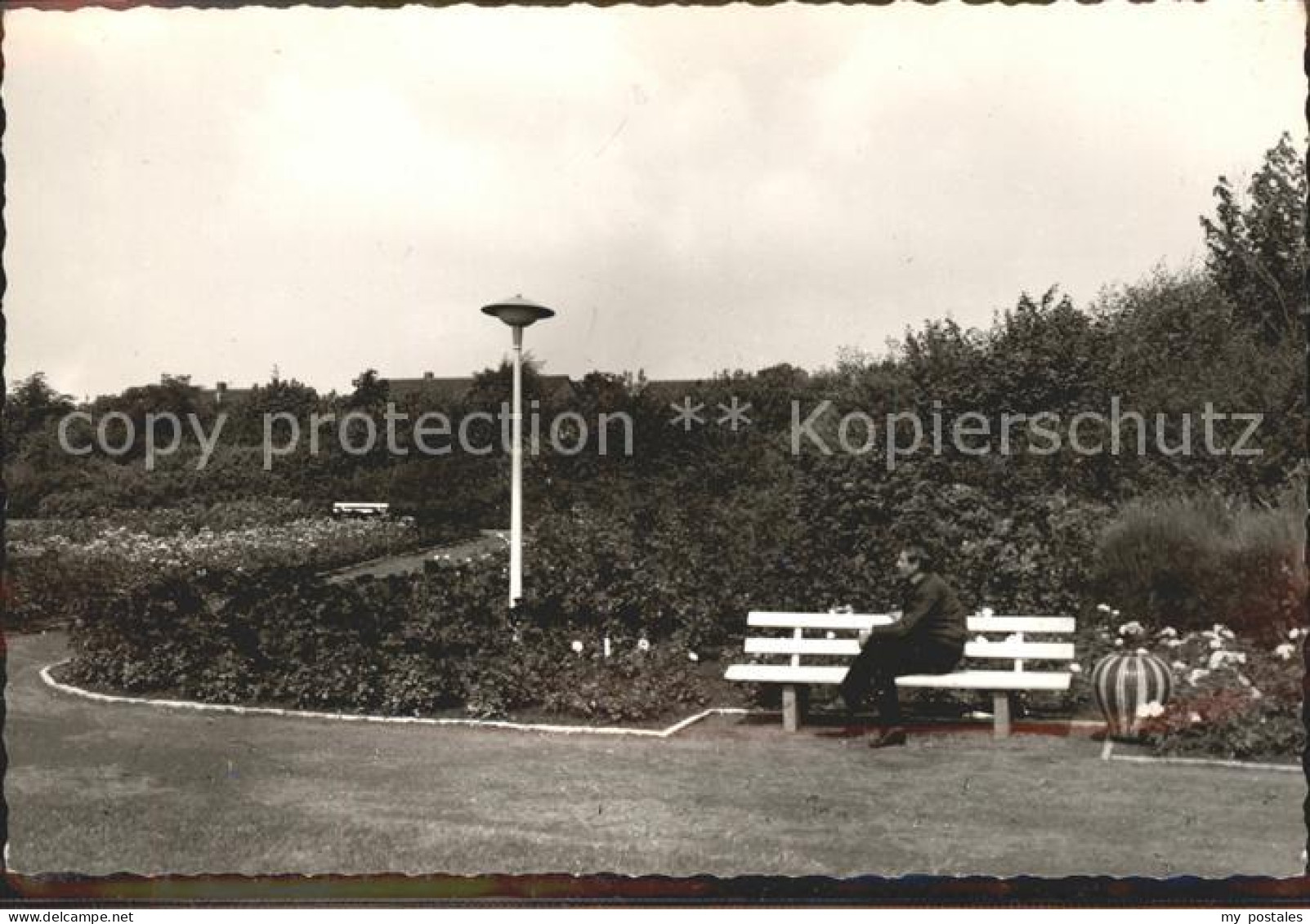 41558451 Werl Westfalen Kurpark Blumenthal - Werl