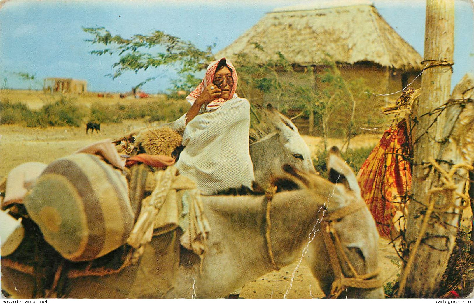 Ethnic Postcard Tipica Mujer Guajira En Paraguaipoa - America