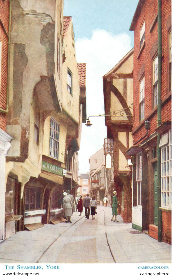 United Kingdom England York The Shambles - York