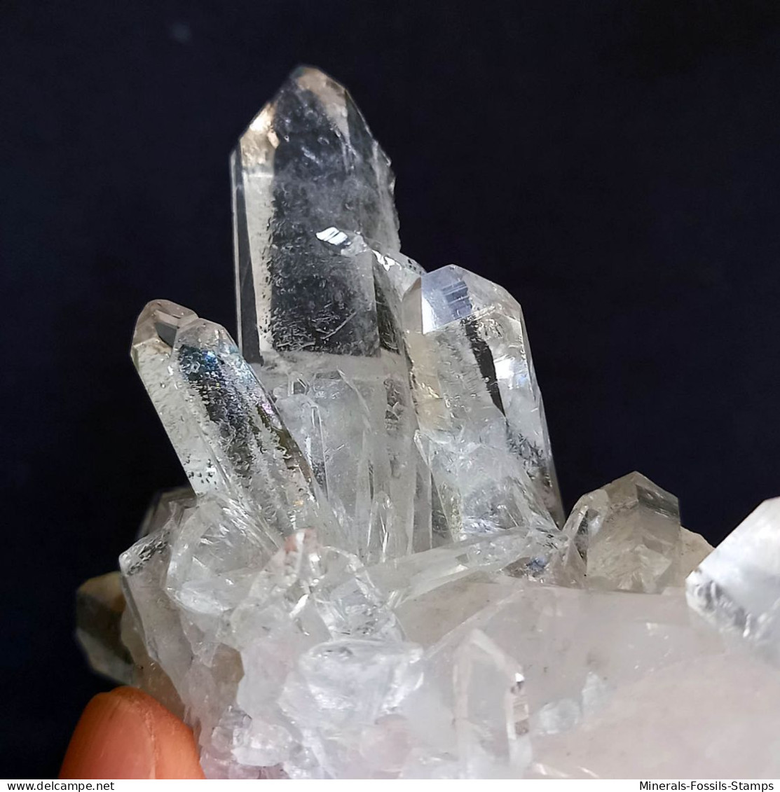 #MB48 Splendido QUARZO Cristalli (Monte Bianco, Val D'Aosta, Italia) - Mineralen