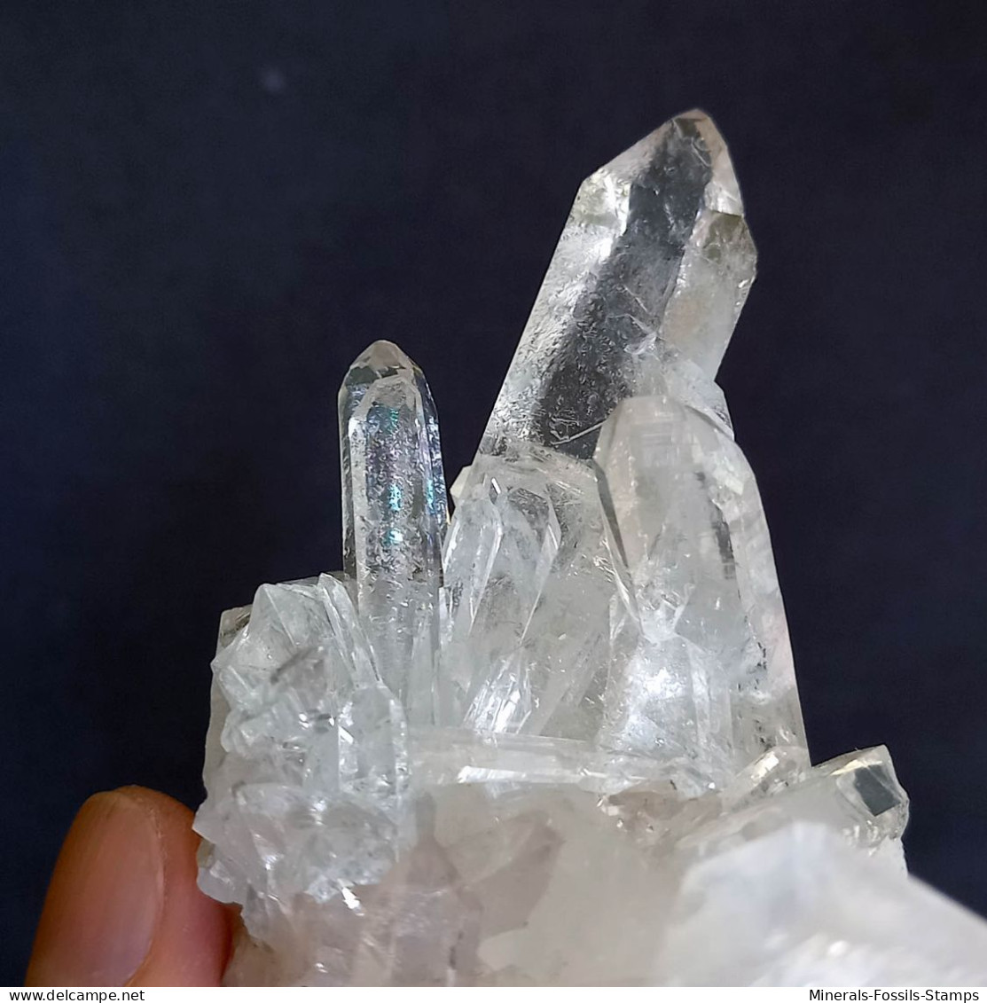 #MB48 Splendido QUARZO cristalli (Monte Bianco, Val d'Aosta, Italia)