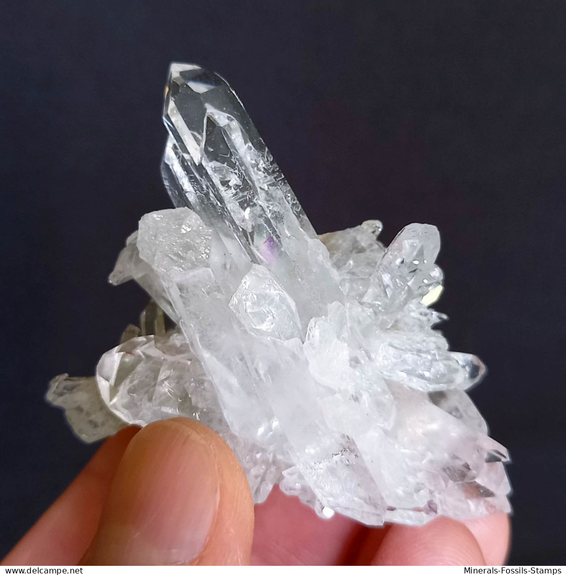 #MB49 Splendido QUARZO Cristalli (Monte Bianco, Val D'Aosta, Italia) - Mineralien