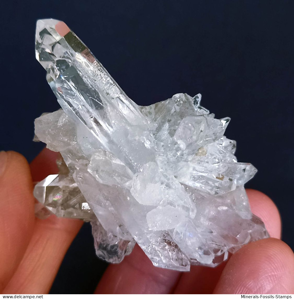 #MB49 Splendido QUARZO Cristalli (Monte Bianco, Val D'Aosta, Italia) - Mineralen