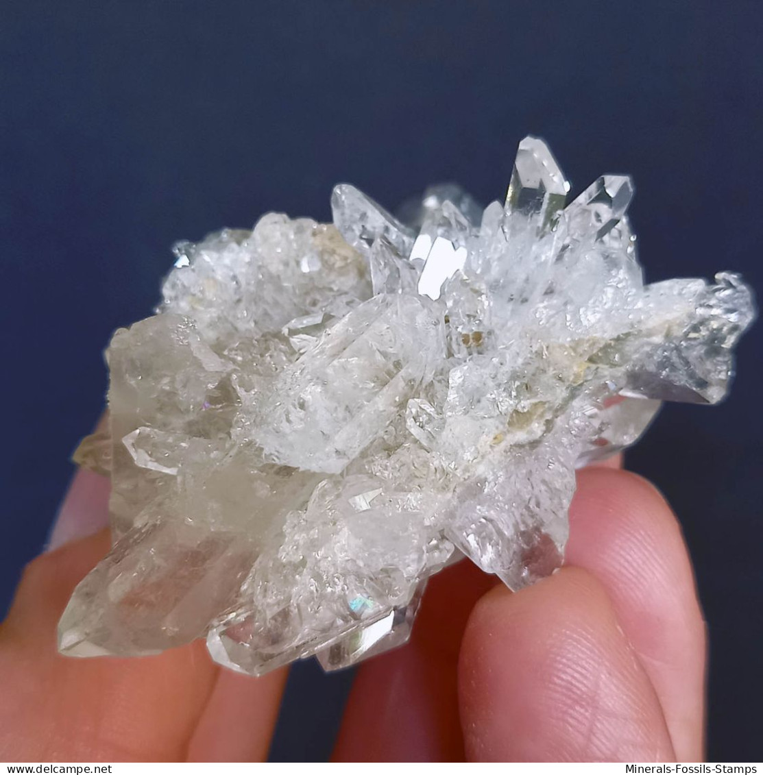 #MB49 Splendido QUARZO cristalli (Monte Bianco, Val d'Aosta, Italia)