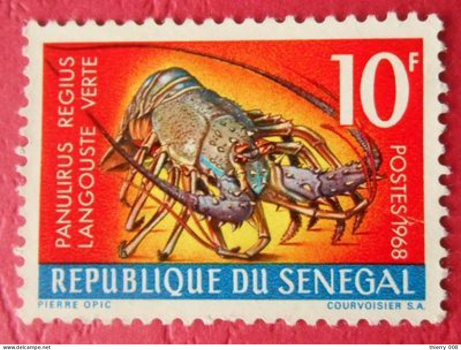 42 Sénégal Langouste Verte - Crustaceans