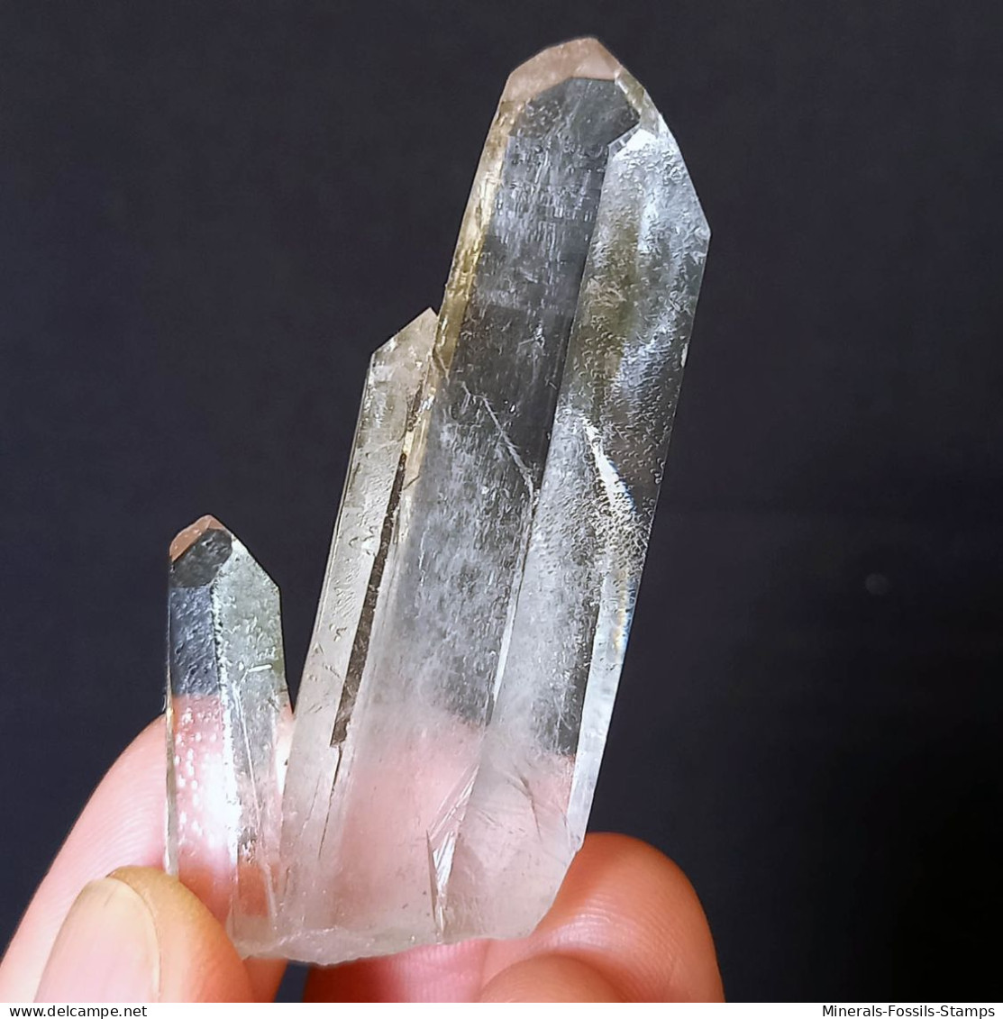 #MB51 Splendido QUARZO Cristalli (Monte Bianco, Val D'Aosta, Italia) - Minerals