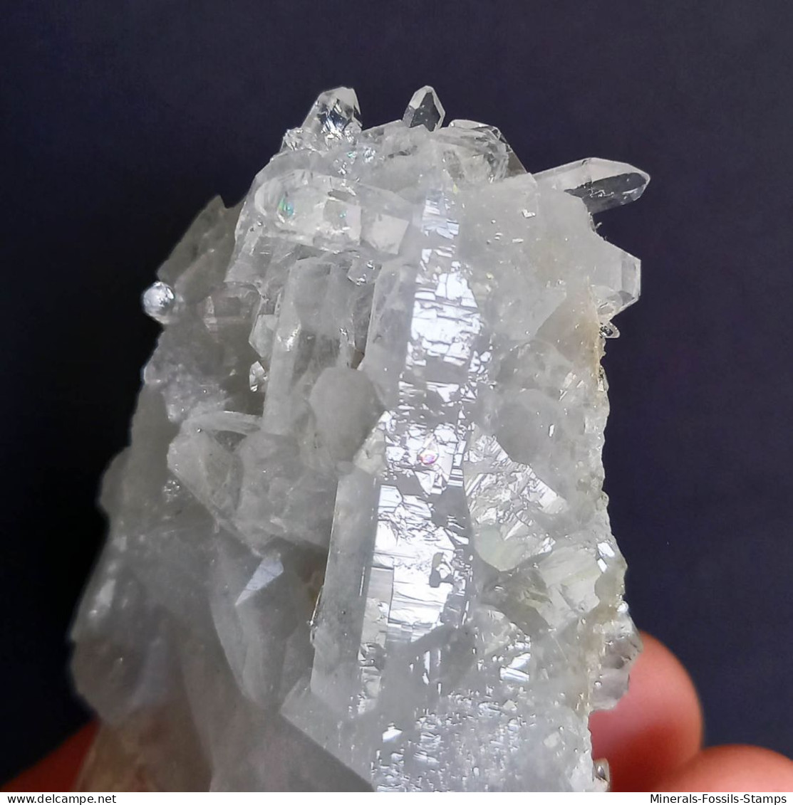 #MB62 Splendido QUARZO Cristalli (Monte Bianco, Val D'Aosta, Italia) - Mineralien