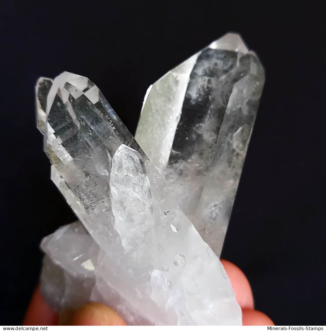 #MB63 Splendido QUARZO Cristalli (Monte Bianco, Val D'Aosta, Italia) - Minerals