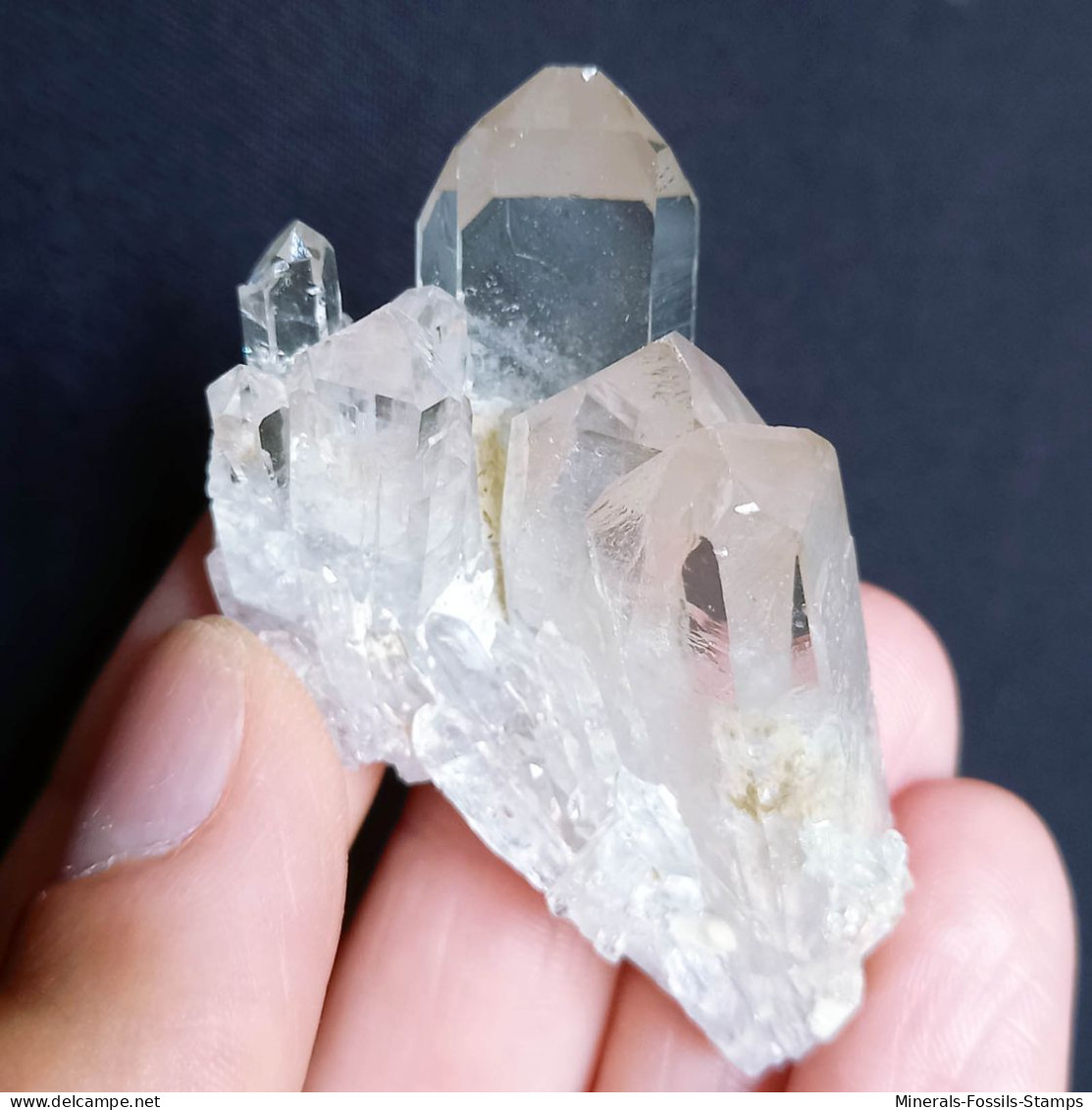 #MB64 Splendido QUARZO Cristalli (Monte Bianco, Val D'Aosta, Italia) - Mineralien