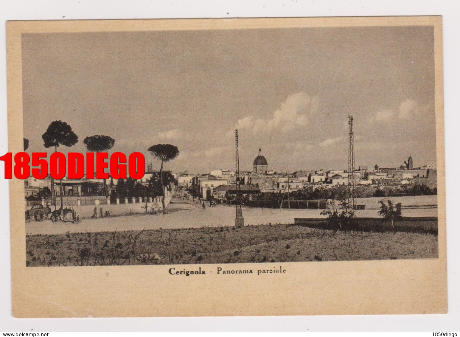 CERIGNOLA - PANORAMA  PARZIALE F/GRANDE  VIAGGIATA 1950 ANIMAZIONE - Cerignola