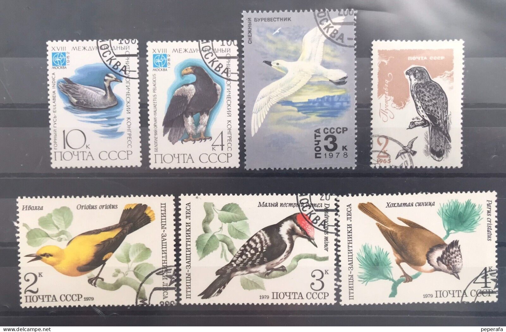 COLLECTION, BIRDS, LOT 1 - Collections