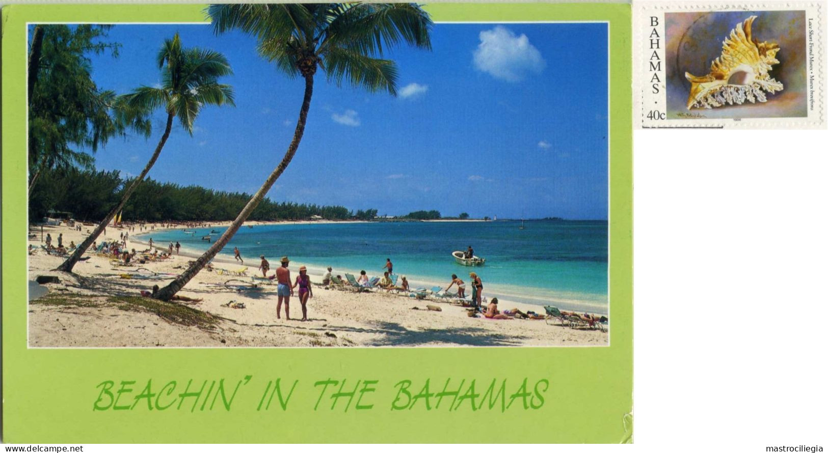 BAHAMAS Beachin' Nice Stamp Shell - Bahamas