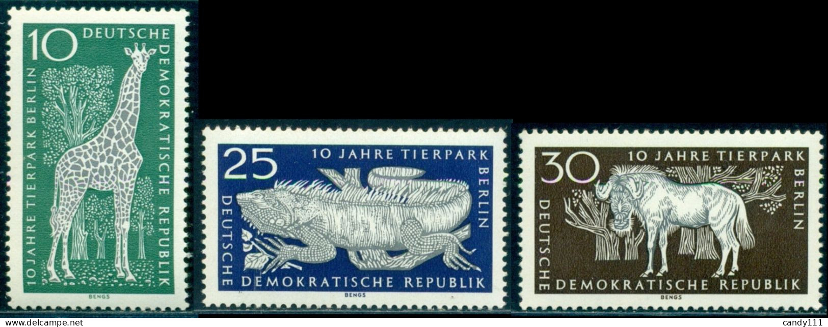 1965 Berlin Zoo,Namibian Giraffe,Iguana,Wildebeest Gnu,Germany DDR,M.1093 ,MNH - Giraffes