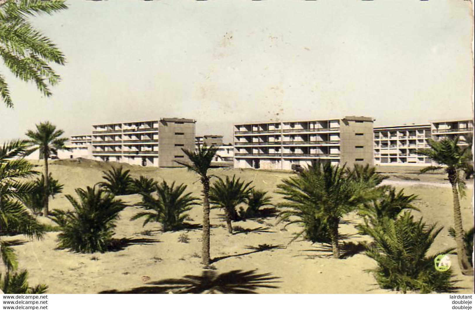 ALGÉRIE OUARGLA   Lot De 5 Cartes - Ouargla