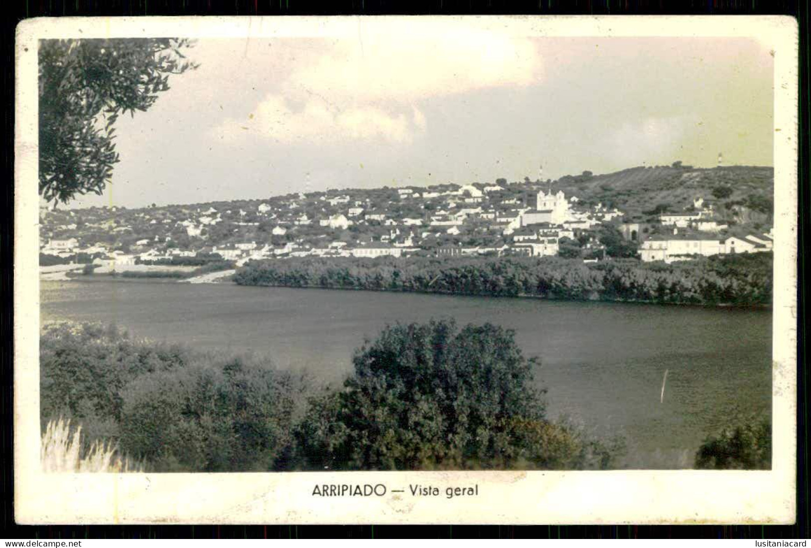 CHAMUSCA - ARRIPIADO - Vista Geral. ( Ed. Postalfoto / Foto J. P. R. ) Carte Postale - Santarem