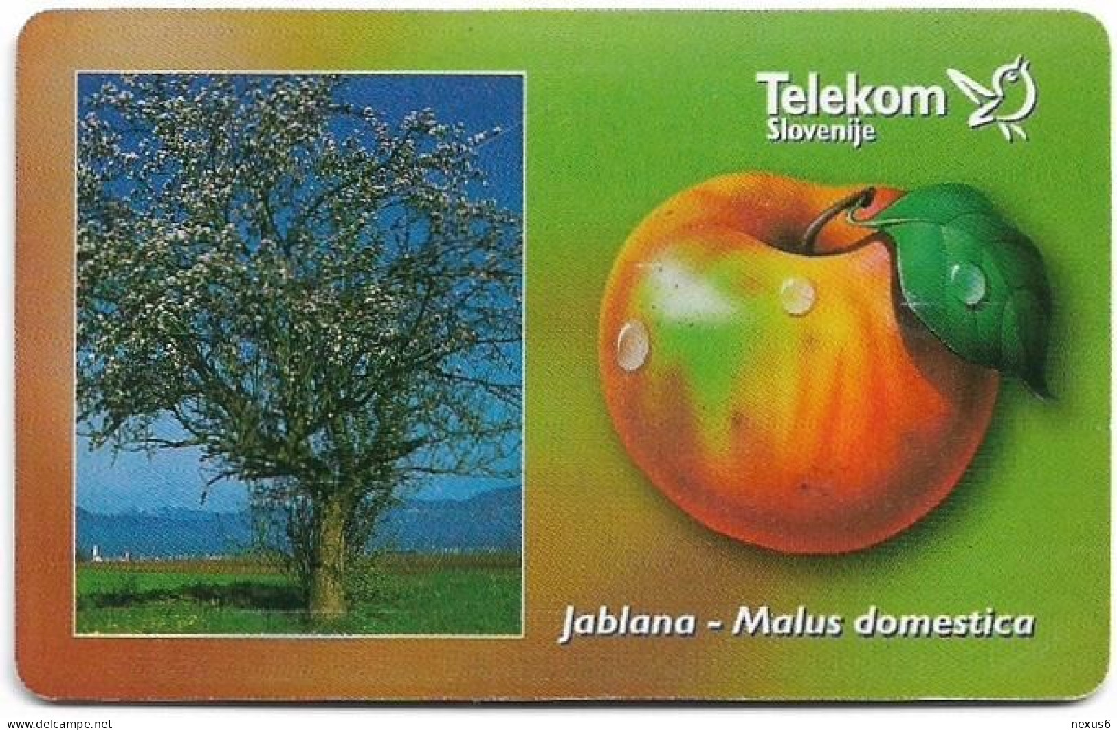 Slovenia - Telekom Slovenije - Fruit Trees - Malus Domestica, Gem5 Red, 06.2009, 100Units, 9.990ex, Used - Slovénie