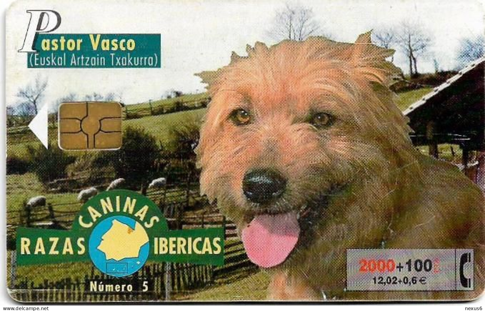 Spain - Telefónica - Razas Caninas Ibericas - Pastor Vasco - B-084 - Gem5 Black, 02.2000, 2.100PTA, 250.000ex, Used - Emissions Basiques