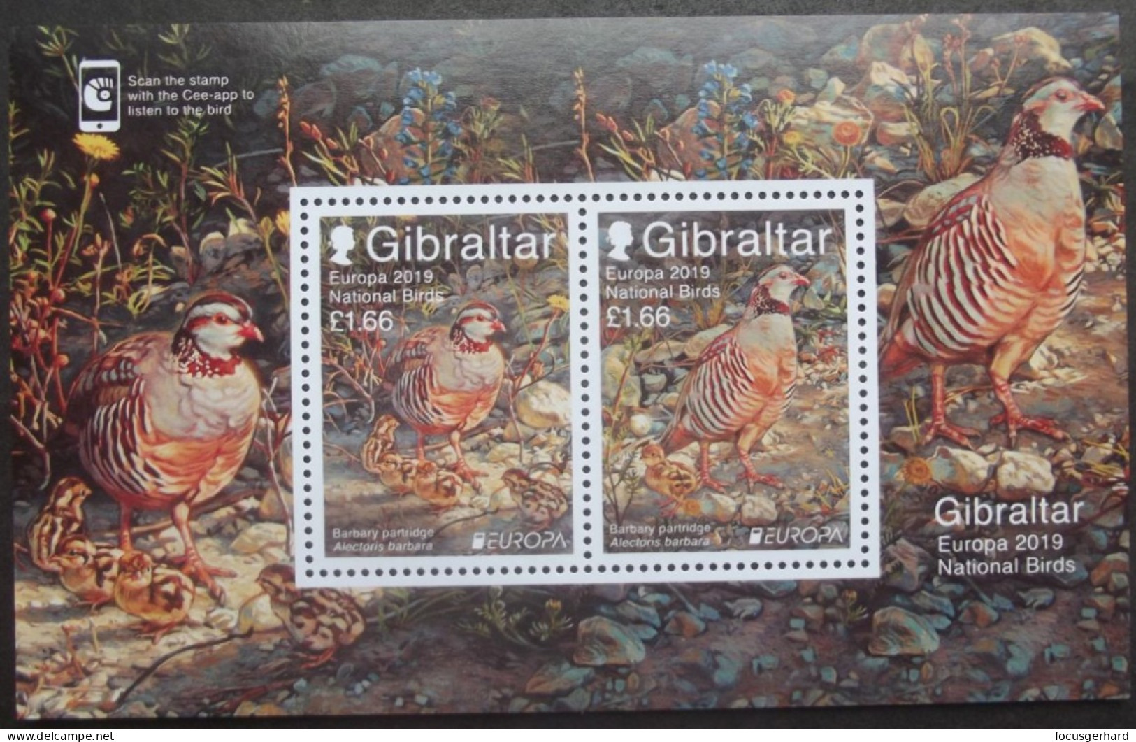 Gibraltar      Europa  Cept   Nationale Vögel   2019    ** - 2019