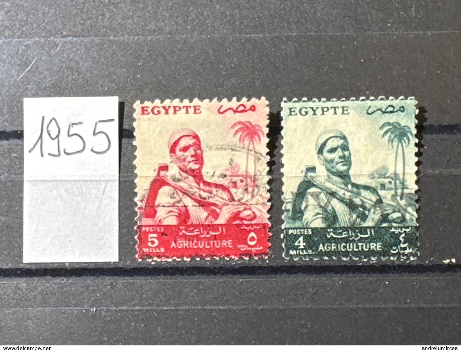 Égypte Lot 1955 - Other & Unclassified