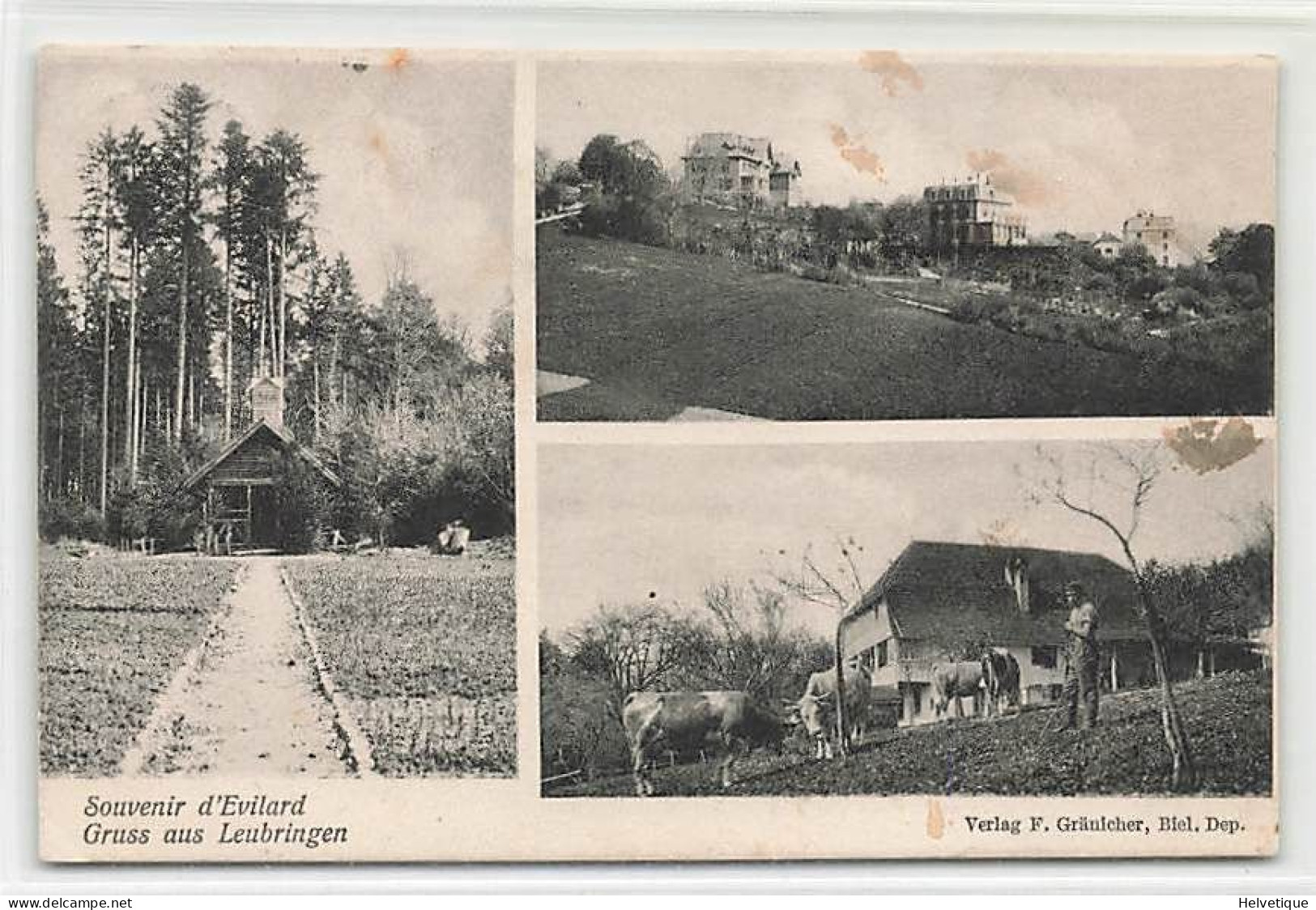 Souvenir D'Evilard Gruss Aus Leubringen 1906 - Evilard