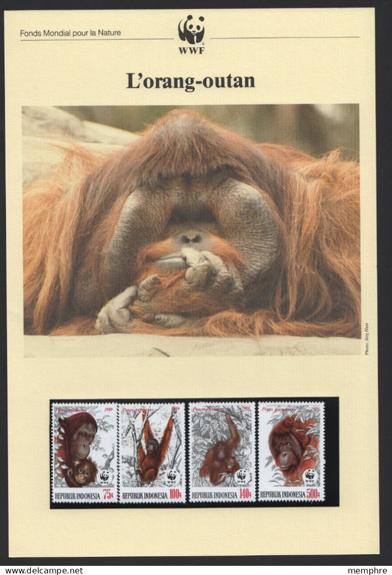 1989 Document WWF Français «L'orang-outan» 6 Pages Texte Et Photos  Sc 1380-3 - Indonésie