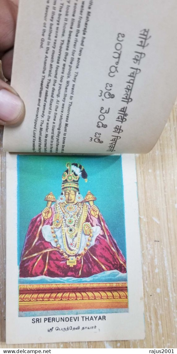 Kancheepuram Hindu Temple Album with Details, Lord Varadaraja, Perumal, God Goddess, Hinduism, Mythology 13 Card Booklet