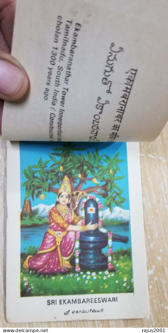 Kancheepuram Hindu Temple Album with Details, Lord Varadaraja, Perumal, God Goddess, Hinduism, Mythology 13 Card Booklet