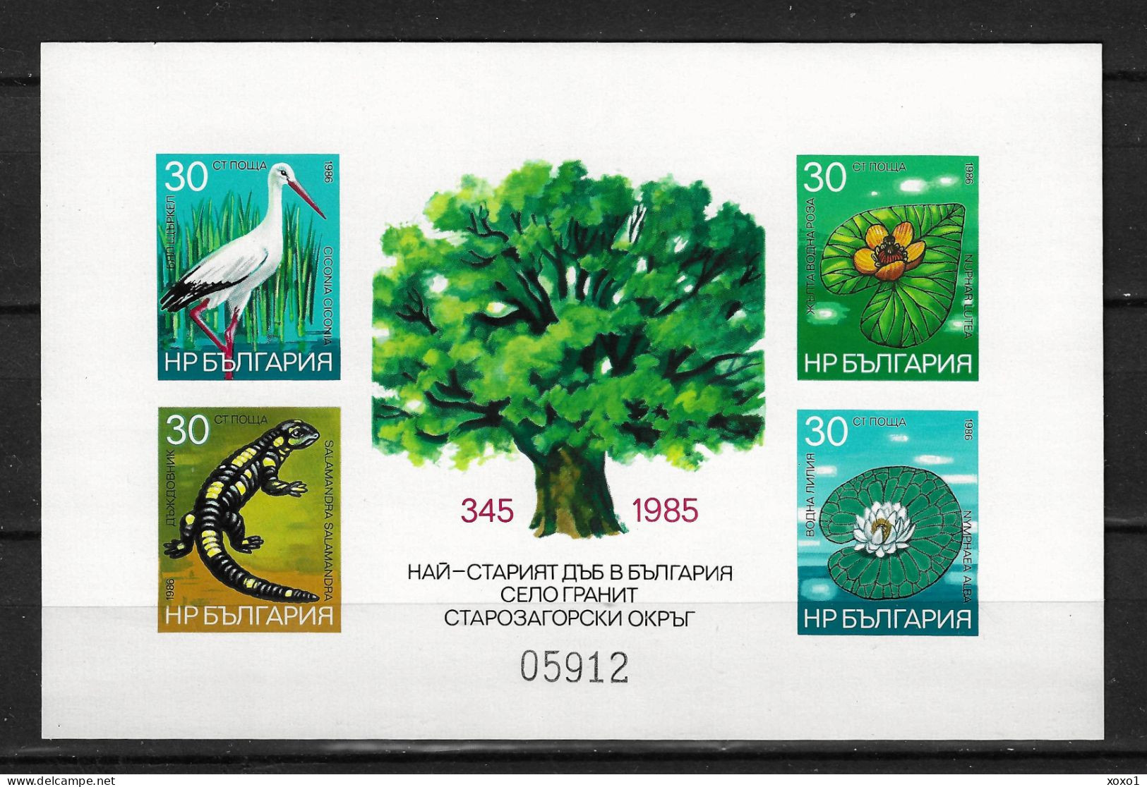 Bulgaria 1986 MiNr. (Block 167B) Bulgarien Birds White Stork, Amphibian, Plants S/sh MNH** 20.00 € - Storchenvögel