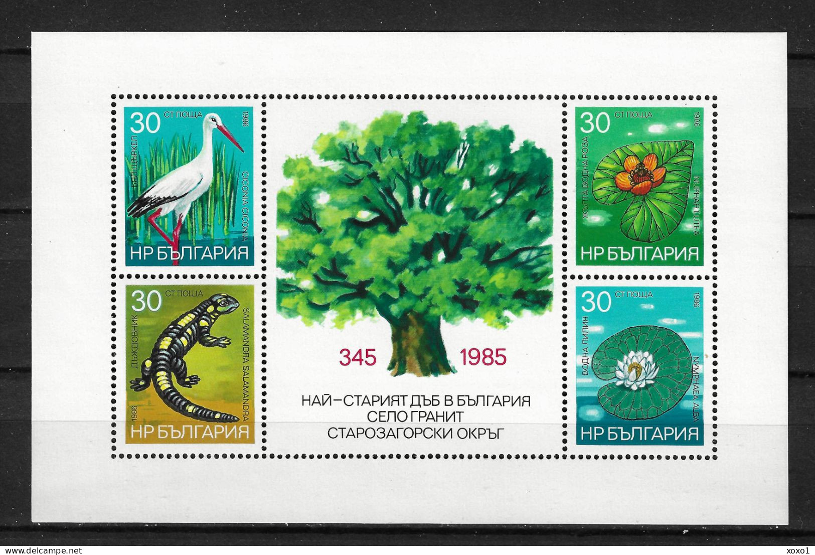 Bulgaria 1986 MiNr. (Block 167A) Bulgarien Birds White Stork (Ciconia Ciconia), Amphibian, Flowers S/sh MNH** 4.00 € - Storchenvögel