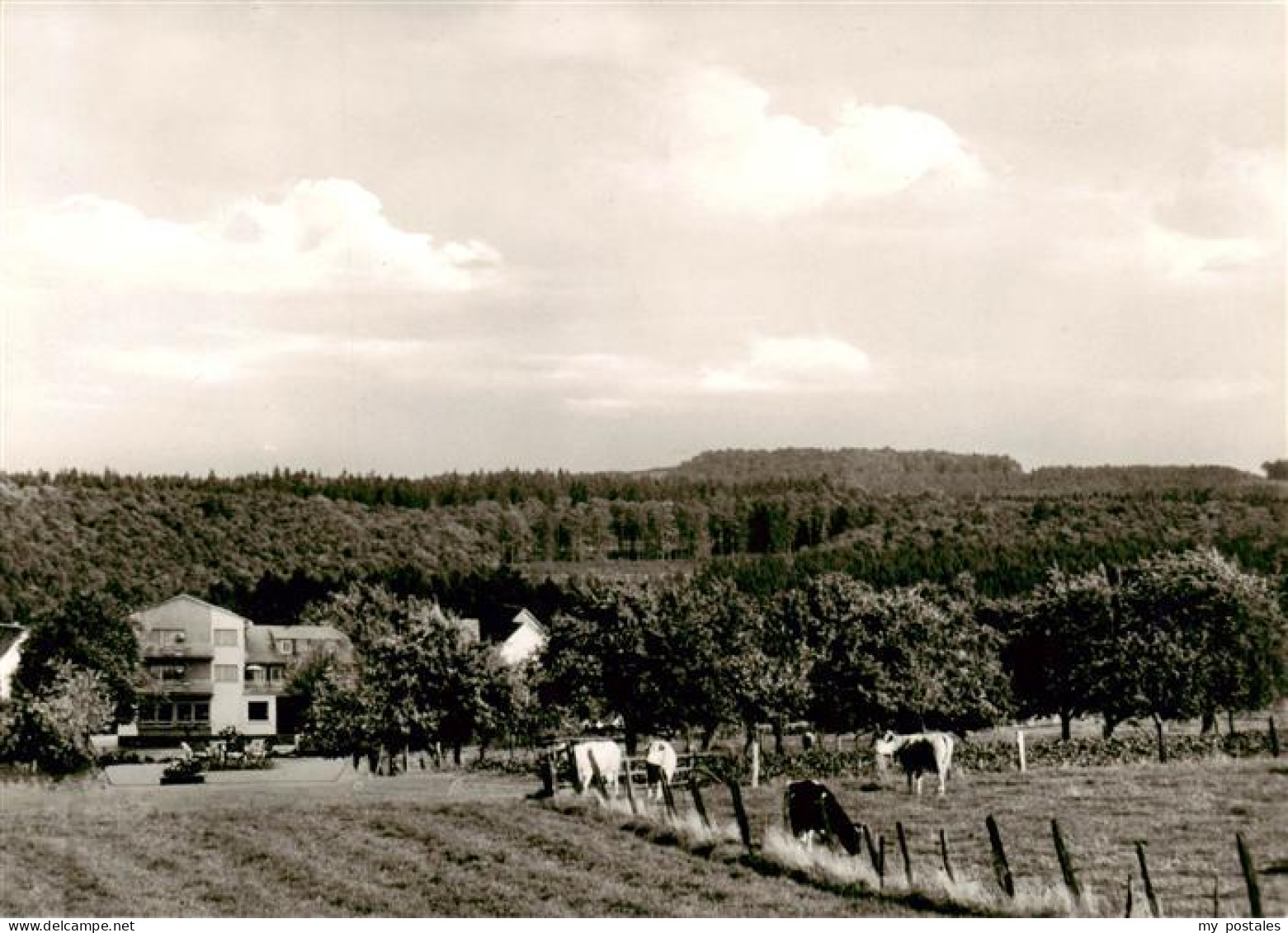 73910886 Bullau Erbach Odenwald Pension Schumbert Panorama - Erbach