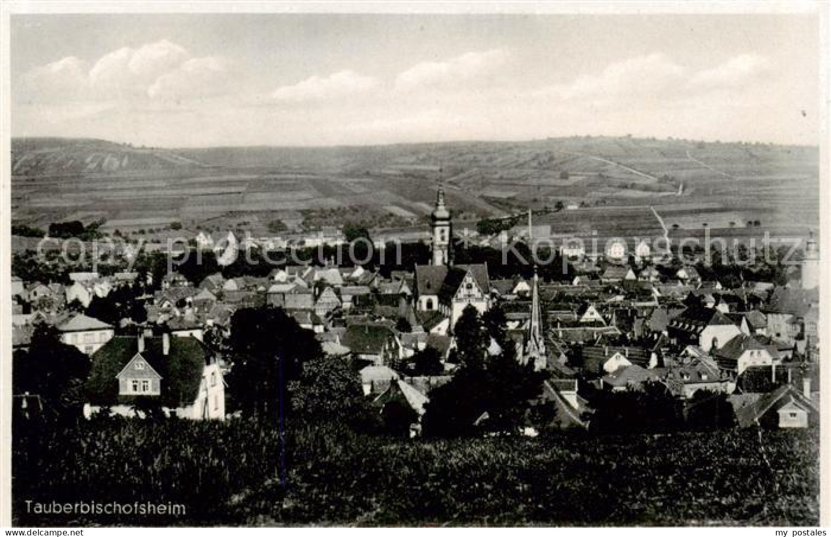 73803524 Tauberbischofsheim Panorama Tauberbischofsheim - Tauberbischofsheim