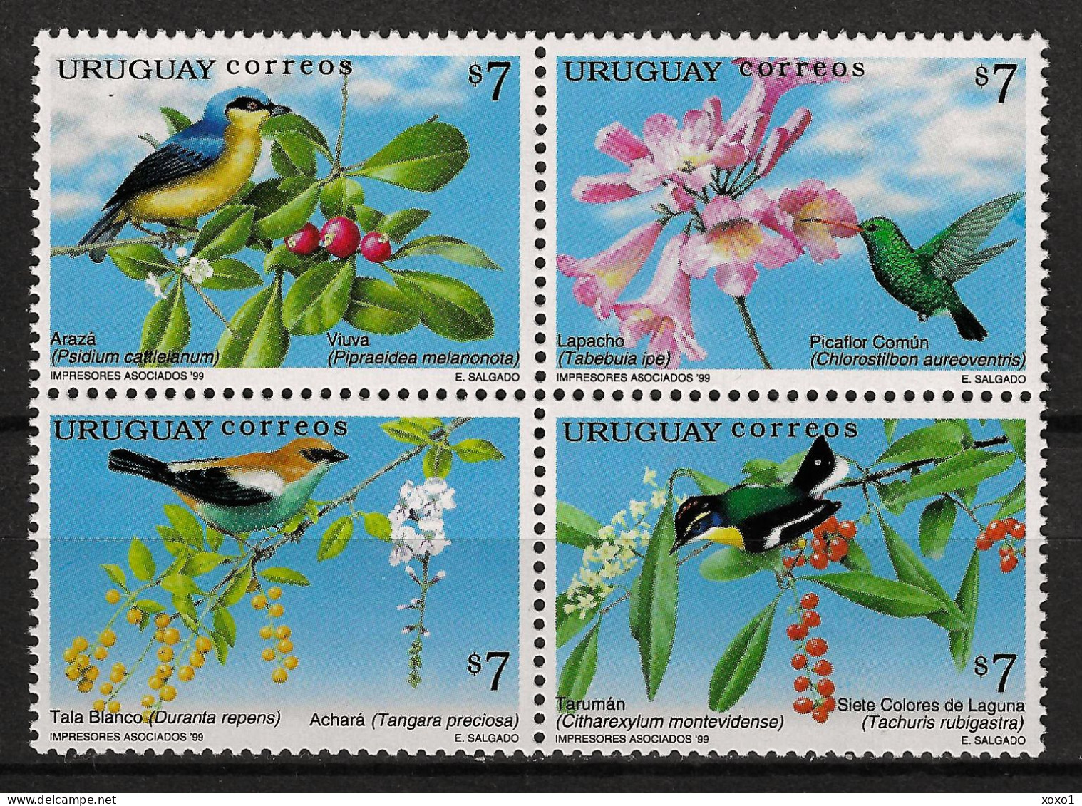 Uruguay 1999 MiNr. 2437 - 2440 Plants, Flowering Trees, Birds Hummingbirds 4v MNH** 9.00 € - Kolibries