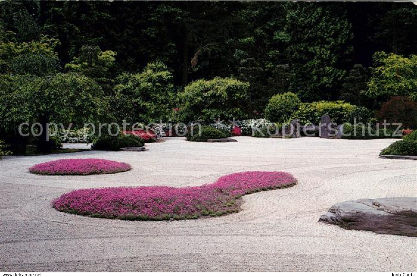 73061448 Portland_Oregon Flat Garden With Dianthus Tiny Rubies - Autres & Non Classés