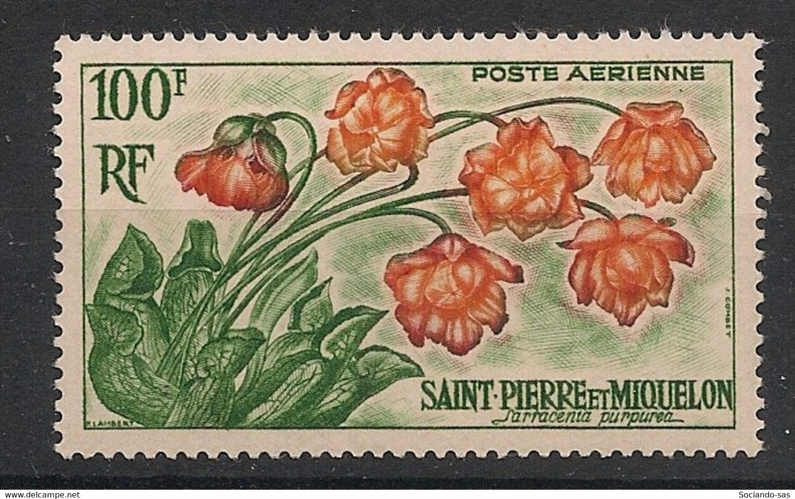 SPM - 1962 - Poste Aérienne PA N°YT. 27 - Fleurs / Flowers - Neuf Luxe ** / MNH / Postfrisch - Nuevos