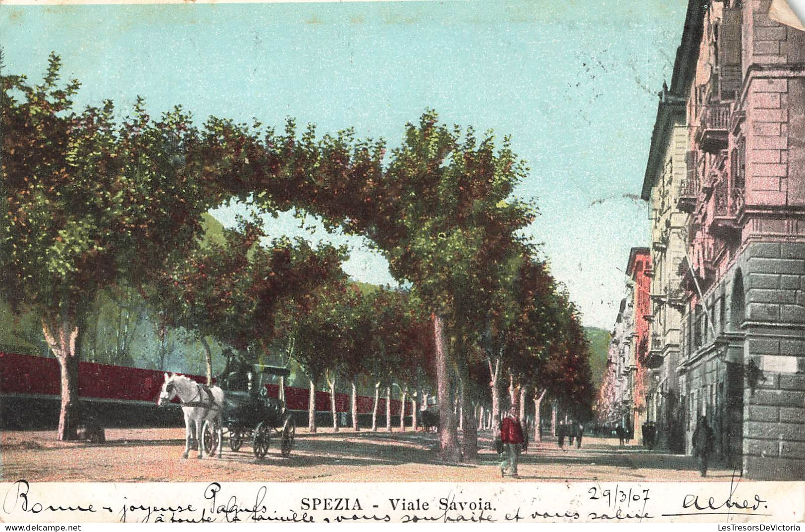 ITALIE -  La Spezia - Viale Savoia - Carte Postale Ancienne - La Spezia