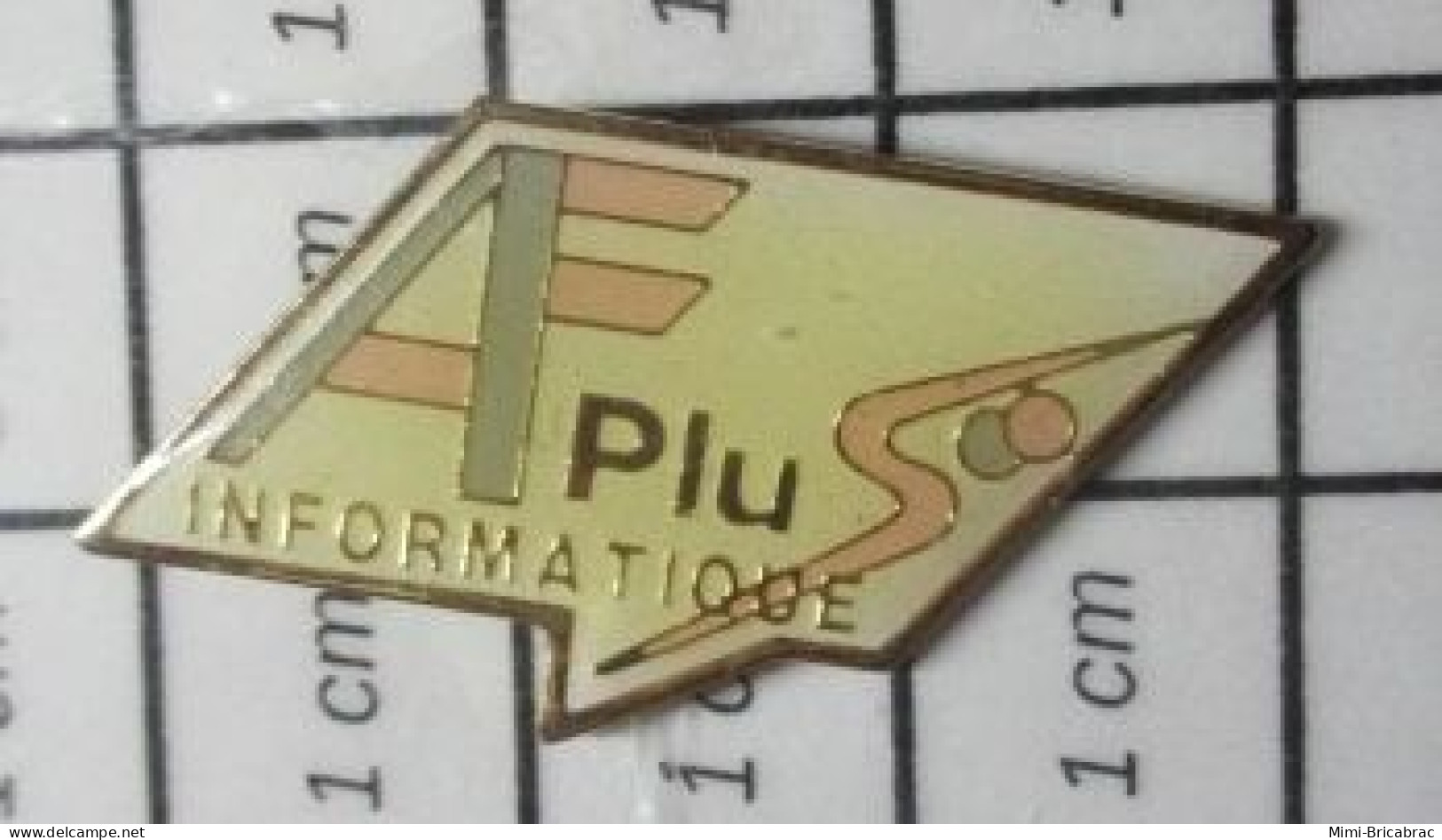 617 Pin's Pins / Beau Et Rare / INFORMATIQUE / AF PLUS INFORMATIQUE - Informatica