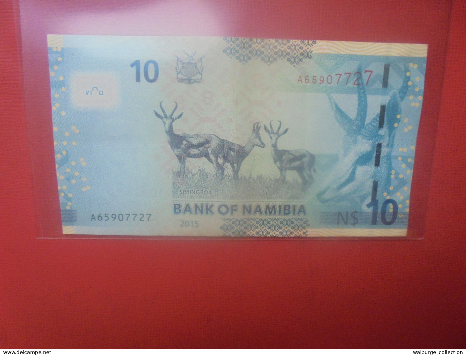 NAMIBIE 10$ 2015 Circuler (B.32) - Namibie