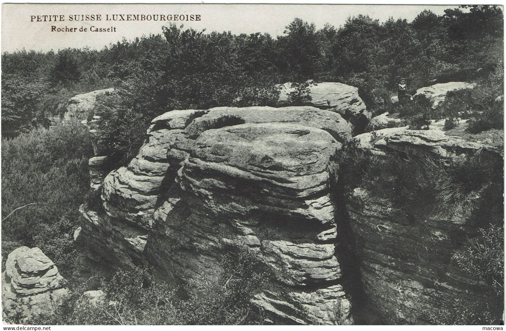 Luxembourg  Müllerthal Rocher De Casselt - Muellerthal