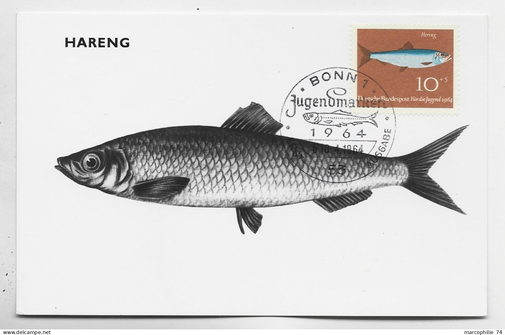 GERMANY BUNDESPOT 10C CARTE MAXIMUM POISSON HARENG 1964 - 1961-1980