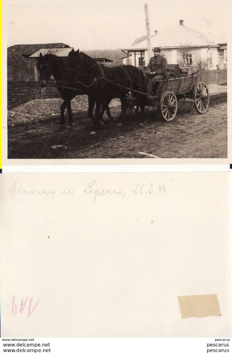 Moldova, Basarabia, Romania ,Roumanie- Lipcani, Briceni -photo Military, WWII, WK2 - Moldova