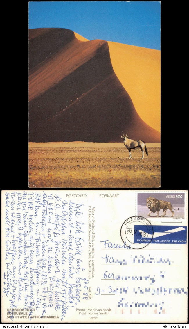 Postcard .Namibia Sussusvlei Gemsbok 1988 - Namibie